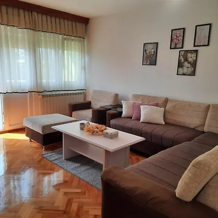 Stan Na Dan Dunja 1 Apartment Vrsac Exterior photo